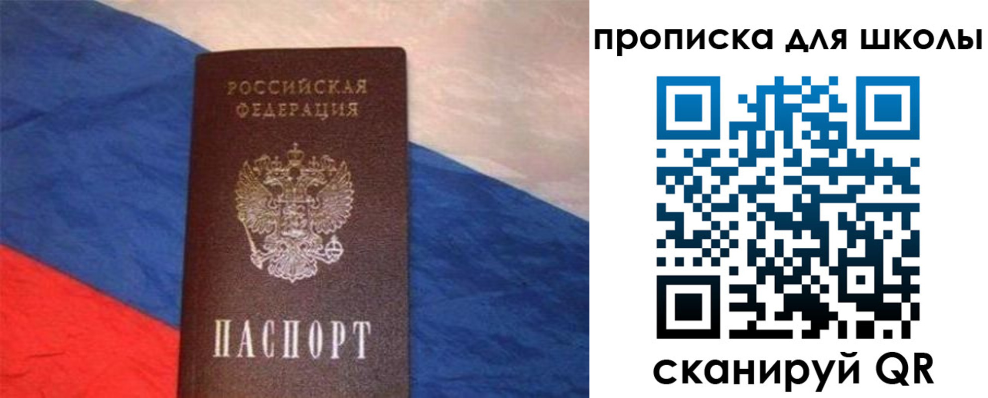 прописка поиск в Алексеевке